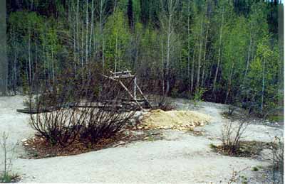 Vue générale d'une partie du lieu historique national du Canada de la Concession-de-la-Découverte (Claim 37903), montrant un dispositif interprétatif, 1998. © Agence Parcs Canada/Parks Canada Agency, John Gould, 1998.