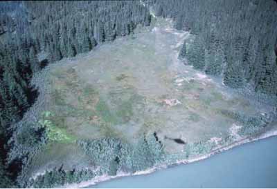 Vue aérienne du lieu historique national du Canada Jasper House. © Parks Canada Agency/Agence Parcs Canada, n.d.