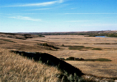 Vue générale de Blackfoot Crossing, qui montre les Treaty Flats. (© Parks Canada Agency / Agence Parcs Canada.)