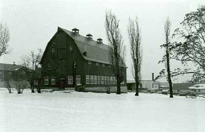 Vue en angle de la petite étable à bovins laitiers, qui montre la forme classique du toit surmonté par des évents, le toit en mansarde et les fermettes, 1987. © Parks Canada Agency / Agence Parcs Canada, 1987.