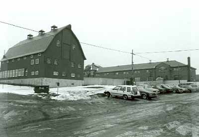Vue arrière de la petite étable à bovins laitiers, qui montre de nombreuses et grandes fenêtres, et les tourelles carrées sur le toit, 1987. © Parks Canada Agency / Agence Parcs Canada, 1987.