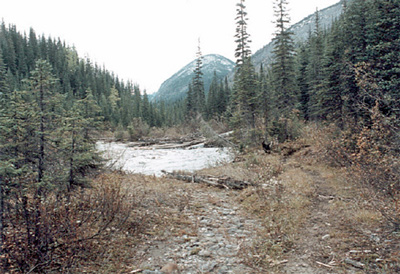 General view of Howse Pass, showing the visual and landscape character along the corridor of the pass, including the unimpeded viewscapes of the surrounding mountains and forest. © Parks Canada Agency / Agence Parcs Canada, 2008  (HCD project 489505)