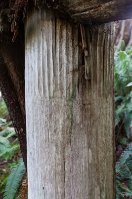 Detail of houseposts with carved upper portions, 2015. © Al Mackie