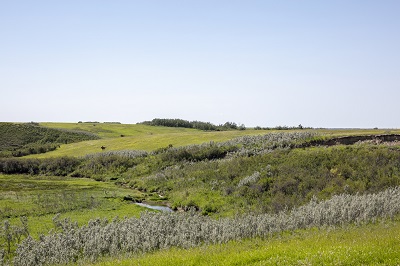 View of the Battle of Tourond's Coulee / Fish Creek National Historic Site of Canada © Parks Canada | Parcs Canada
