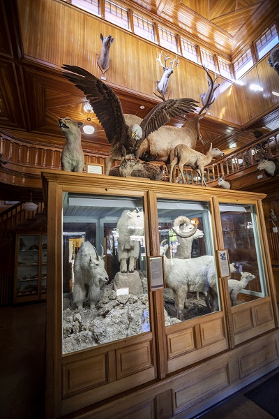 Interior view of the museum © Parks Canada | Parcs Canada / Kahli April