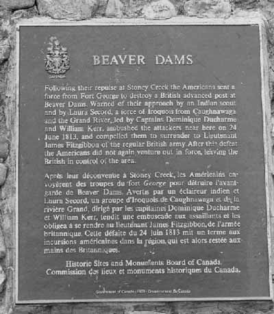 General view of the Battle of Beaver Dams, showing the plaque, 1989. (© Parks Canada Agency / Agence Parcs Canada, 1989.)