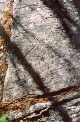 Pétroglyphes au lieu historique national du Canada des Pétroglyphes-de-Bedford, 2005. © Parks Canada | Parcs Canada
