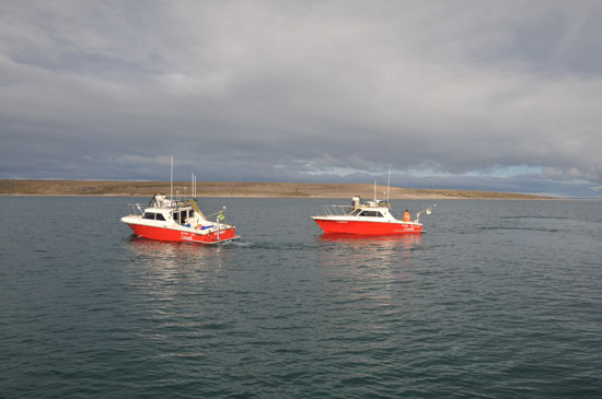 Kinglett and Gannet at O’Reilly Island during a break from surveying for a crew change