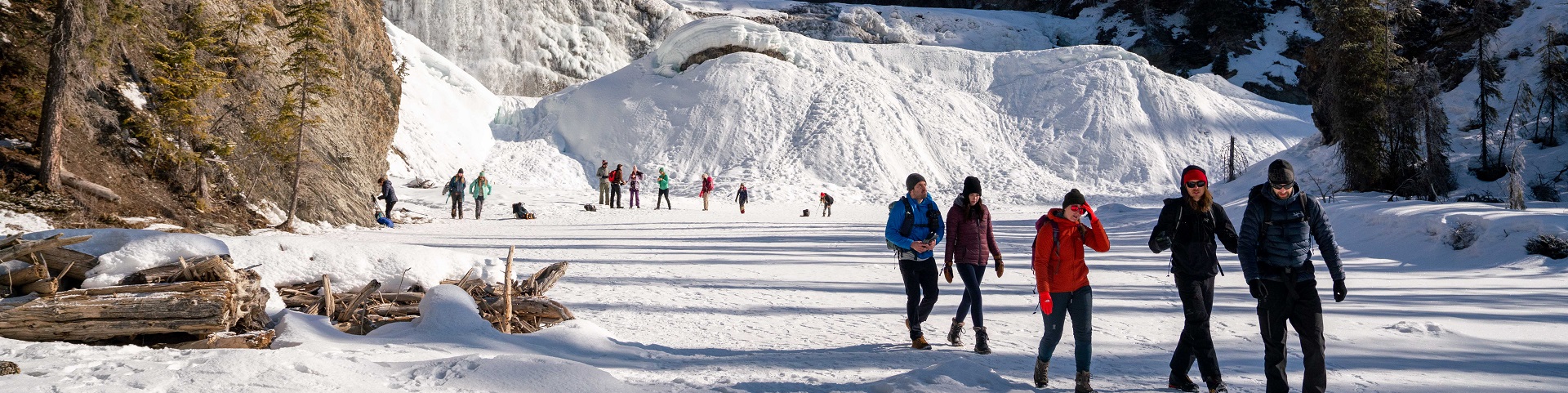 Groupe de cinq marcheurs devant les chutes Wapta glacées et enneigées, et plusieurs individus au pied de la chute en arrière-plan.