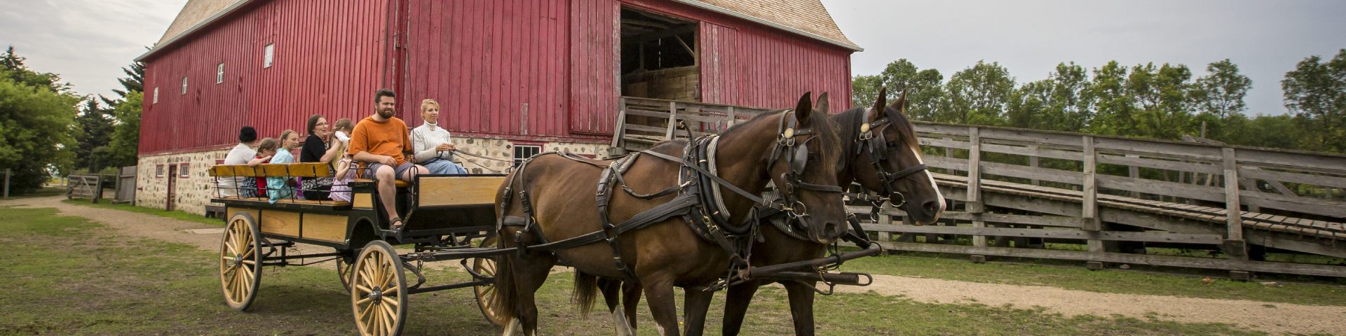 A team of horses pulls a wagon full of visitors past the big red barn at Motherwell Homestead National Historic Site.