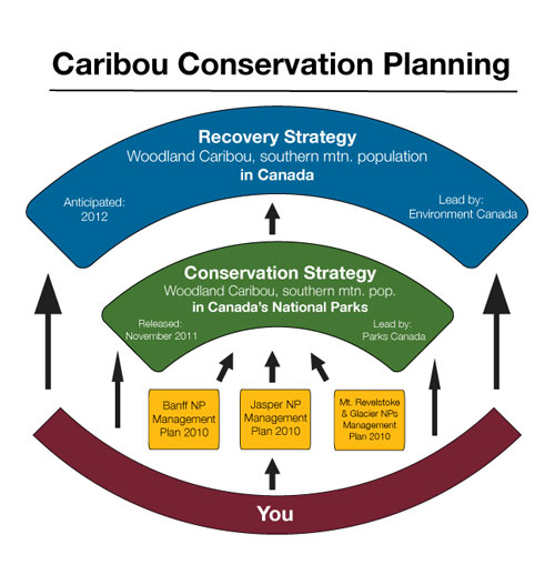 Caribou Conservation Planning