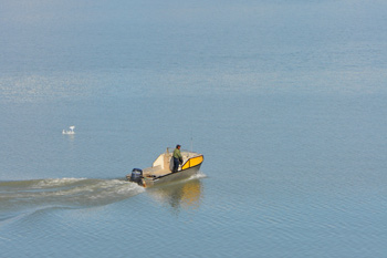 Man in motor boat in an arctic inlet