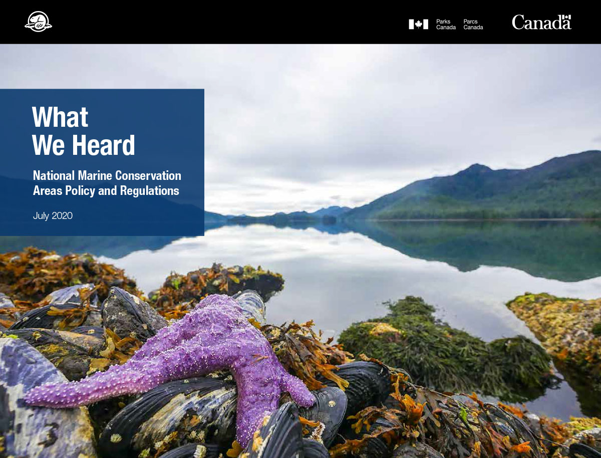 An intertidal scene from Gwaii Haanas including a purple sea star, mussels and kelp. Gwaii Haanas National Park Reserve and Haida Heritage Site. A blue rectangle with white text reading: What we heard National Marine Conservation Areas Policy and Regulations July 2020.