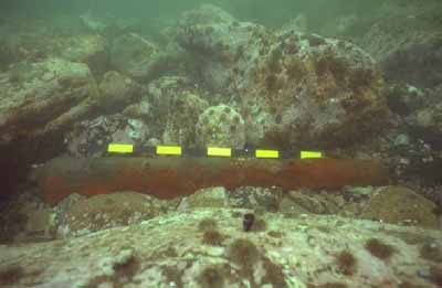Detailed view of the Corossol, showing a canon. © Agence Parcs Canada / Parks Canada Agency.
