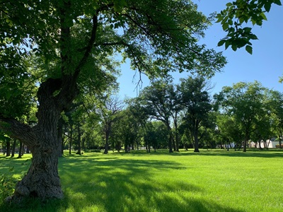 View of McGowan Park from west side of Seven Oaks House which comprises part of the original Inkster family river lot. (Jeffrey Thorsteinson, Parks Canada, July 2022) © Parks Canada | Parcs Canada, Jeffrey Thorsteinson, 2022.