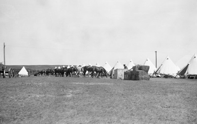 Horses and supplies near tents at Sarcee Army Camp in 'Sarcee City', Calgary, Alberta, circa 1914-1916. © Glenbow Library and Archives Collection / Libraries and Cultural Resources Digital Collections / University of Calgary / Byron Harmon fonds / na-841-406 | Collection de la bibliothèque et des archives Glenbow /Byron Harmon fonds / na-841-406
