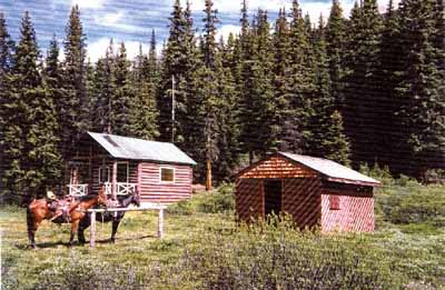 Vue du Chalet des gardes du parc de Medicine Tent jouxtant le hangar à bois et la sellerie, 1996. © Parks Canada Agency / Agence Parcs Canada, 1996.