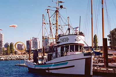 General view of Motor Vessel BCP 45, showing its inherent characteristics that typify a wooden fish seiner of the west coast, 1999. (© Parks Canada Agency / Agence Parcs Canada, Arnold E. Roos, 1999.)