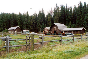 Panorama du nord-ouest montrant les pâturages et les quatre bâtiments d'exploitation à Yoho Ranch, y compris l'écurie (deuxième bâtiment de la droite), 1999. © Cultural Resource Services, Calgary, 1999.
