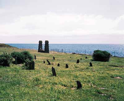 General view of the Chinese Cemetery at Harling Point National Historic Site of Canada, 2000. (© Parks Canada Agency/Agence Parcs Canada, 2000.)