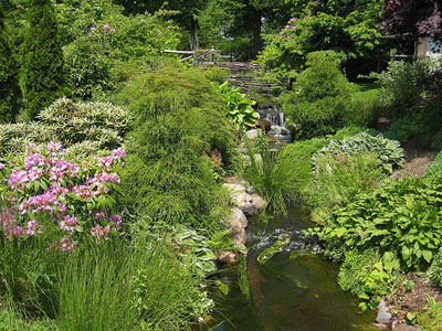 General view of Halifax Public Gardens, showing the wide variety of species planting including domestic, exotic, semi-tropical, flowering, and variegated foliage, set against well-groomed lawns, 2010. © Halifax Public Gardens, Justin Paulson, 2010.