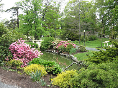 General view of Halifax Public Gardens, showing its groomed lawns, geometric, serpentine and scroll flower beds, linked by a network of curving gravel paths within a firm perimeter line, 2007. © Halifax Public Gardens, Ndh, 2007.