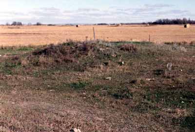 Vue du lieu historique national du Canada des Monticules-Linéaires, qui montre les lignes ininterrompues de buttes linéaires et de prairies, 1996. © Agence Parcs Canada / Parks Canada Agency, 1996.