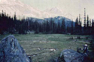 General view of the Athabasca Pass, showing the visual character of the pass, meaning the unimpeded viewscapes of the surrounding mountains and forest, 1998. © Jack Porter, Parcs Canada Agency / Agence Parcs Canada, 1998.