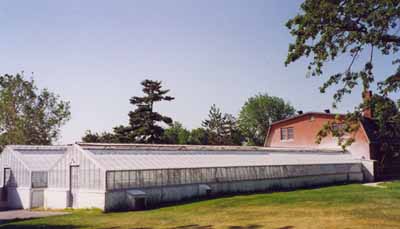 View of the rear of the Cereal Crops Building, showing the greenhouses of modest scale and simple construction, 1995. © Parks Canada Agency / Agence Parcs Canada, 1995.