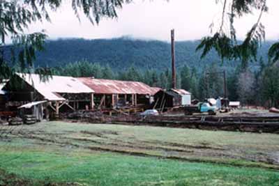 View of McLean Mill National Historic Site of Canada, showing the location of the site within a forested area close to Port Alberni, 1996. © Parks Canada Agency / Agence Parcs Canada, 1996.