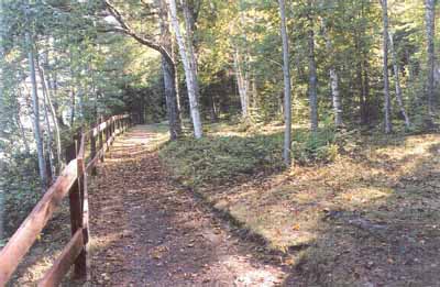 Vue qui montre le sentier à la pointe Wilsons. © Agence Parcs Canada / Parks Canada Agency, Ian Doull, 1999.