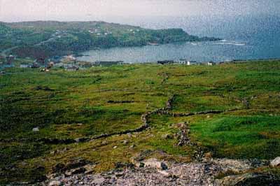 View of the Walled Landscape of Grates Cove, showing the treeless headland and its excellent views towards the ocean, evocative of the residents’ relationship with the sea and land. © Parks Canada Agency / Agence Parcs Canada.