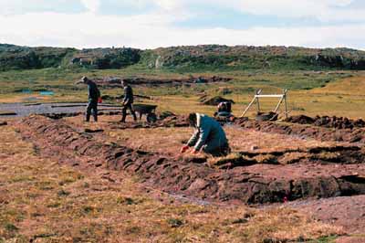 View of excavations. © Parks Canada Agency / Agence Parcs Canada
