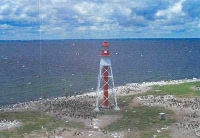 General view of the Light Tower, showing its slender, tapered prefabricated skeletal steel frame. (© Fisheries and Oceans Canada / Pêches et Océans Canada.)
