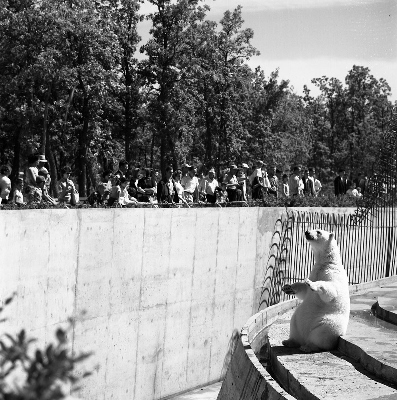 Historic photograph of Assiniboine Park and Zoo, Winnipeg, 1961 © Library and Archives Canada | Bibliothèque et Archives Canada, Mikan 4751712