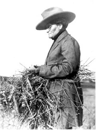 Portrait of Ella Cora Hind (1861-1942) © Archives of Manitoba // Archives du Manitoba