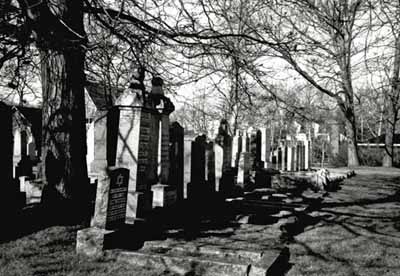 Vue générale du cimetière Beth Israël, montrant l’organisation spatiale des pierres tombales à la fois serrée et linéaire, 1991. © Agence Parcs Canada / Parks Canada Agency, 1991.