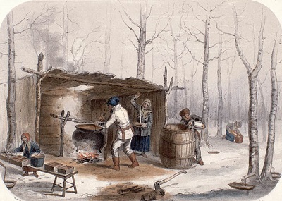 Sugar making in Canada © Library and Archives Canada | Bibliothèque et Archives Canada, Acc. No. 1989-512