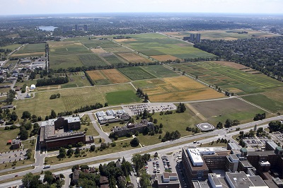 Vue aérienne des édifices du Centre de recherche et de développement d’Ottawa (bas à gauche), de l'avenue Carling (traversant de droite à gauche), et des champs d’essai (centre) © Agriculture and Agri-Food Canada | Agriculture et Agroalimentaire Canada