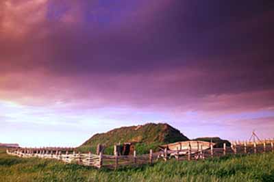 Vue générale d'une répliques de huttes de terre vikings de l'Anse aux Meadows, 2003. © Parks Canada Agency/ Agence Parcs Canada, D. Wilson, 2003.