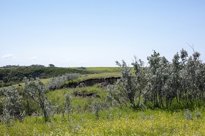 View of the Battle of Tourond's Coulee / Fish Creek National Historic Site of Canada. © Parks Canada | Parcs Canada