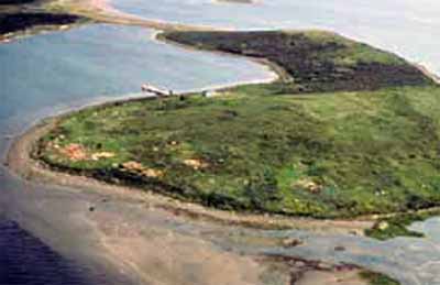 Aerial view of the western point of Grassy Island. (© Parks Canada Agency / Agence Parcs Canada.)