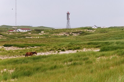 Sable Island © Parks Canada | Parcs Canada