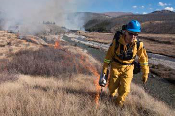 A worker in protective gear carrying a drip torch with a line of flames behind.