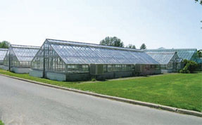 Main Greenhouse Range (Building 50), Central Experimental Farm, National Historic Site, Ottawa, Ontario