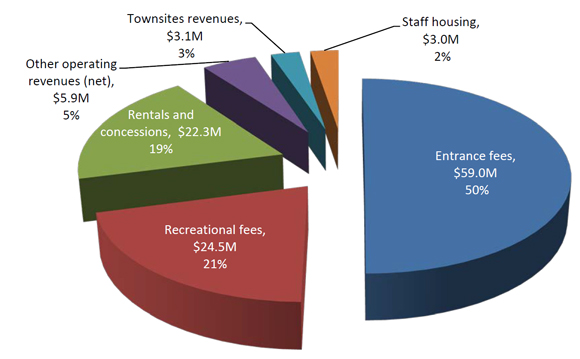 Revenues by Major Classification