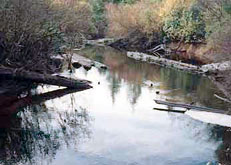 Creek after cleanup 
