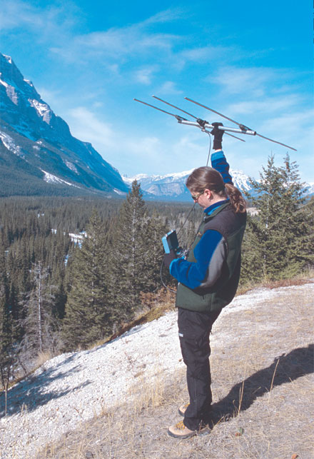 Biologist tracking wildlife at Banff National park of Canada