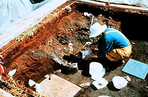 The archaeological dig at Port Au Choix National Historic Site
