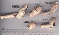 Clay pipes found at the site of Charles Fort.
